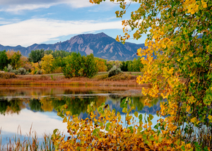 Fall Foliage at Sawhill Ponds, Boulder, CO