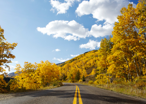 Peak to Peak Highway in Boulder, CO Surrounded by Fall Foliage